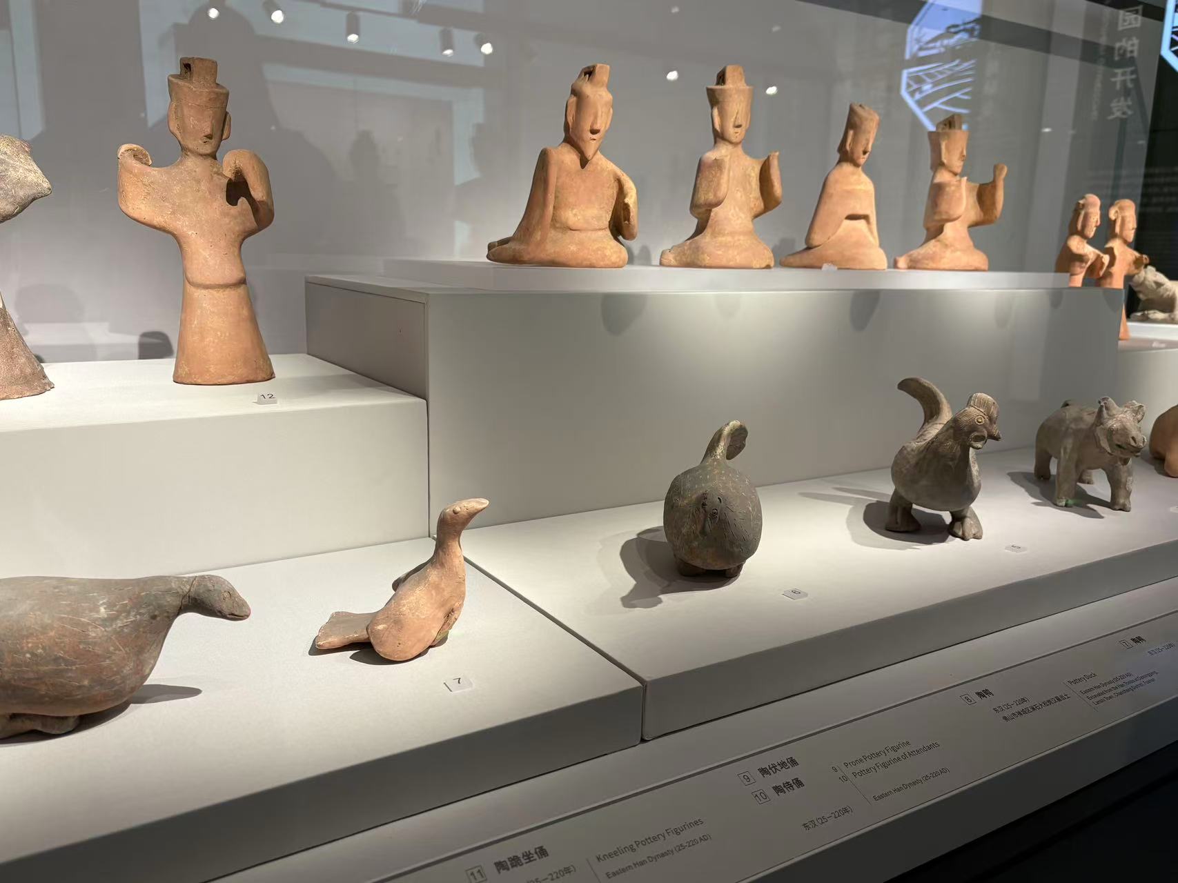 漫步佛山博物馆：让文化惠民落地生根