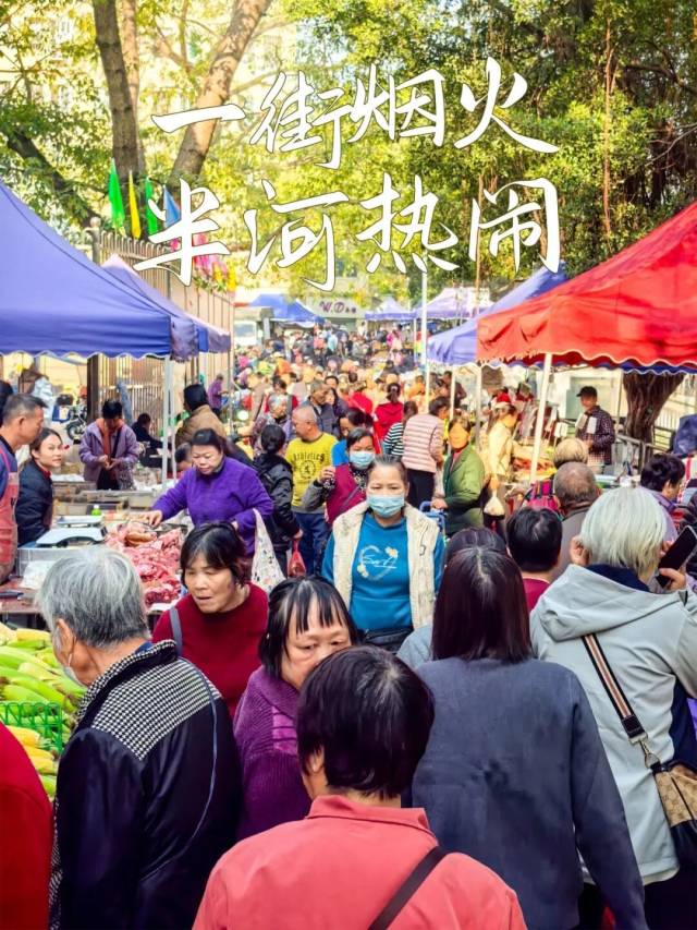 烤乳鸽、大头菜、花鸟海鲜&hellip;顺德&ldquo;三六九墟&rdquo;藏不住了