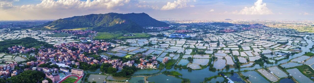 它是桑园围里的流动史诗，却很少人知道！l 水韵名城