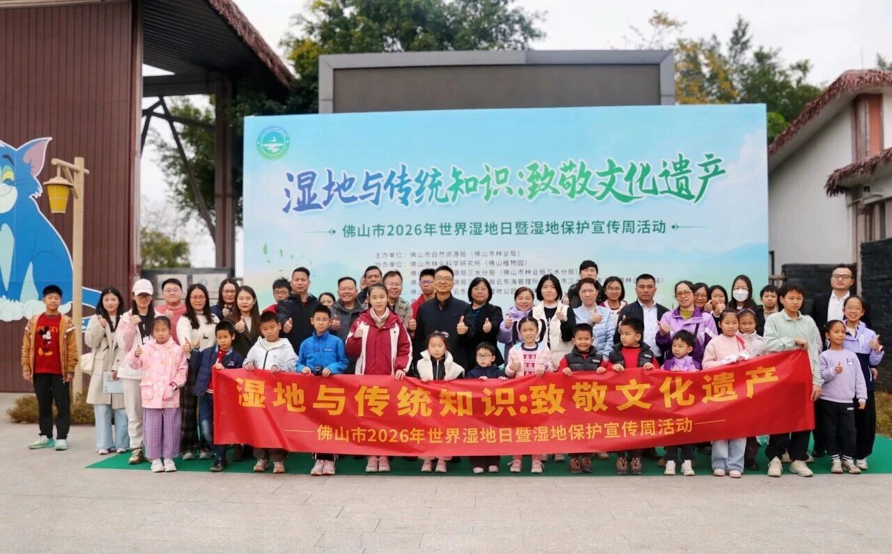 邂逅湿地之美，共寻自然生息与人文印记