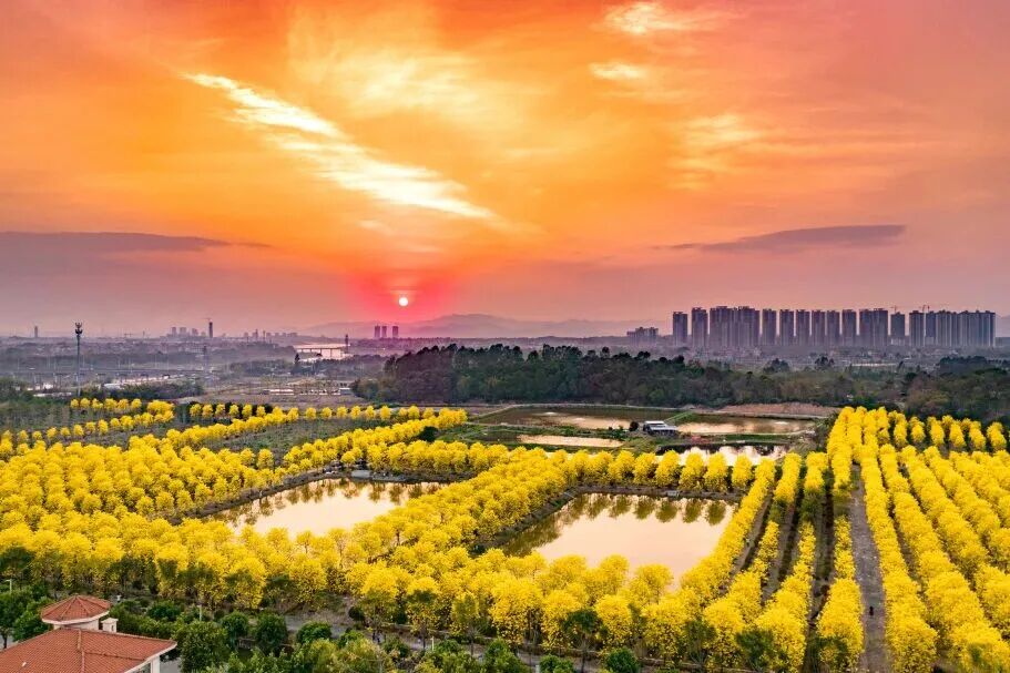 芦苞涌：一条千年水道的&ldquo;三次生命&rdquo;跃迁 l 水韵名城