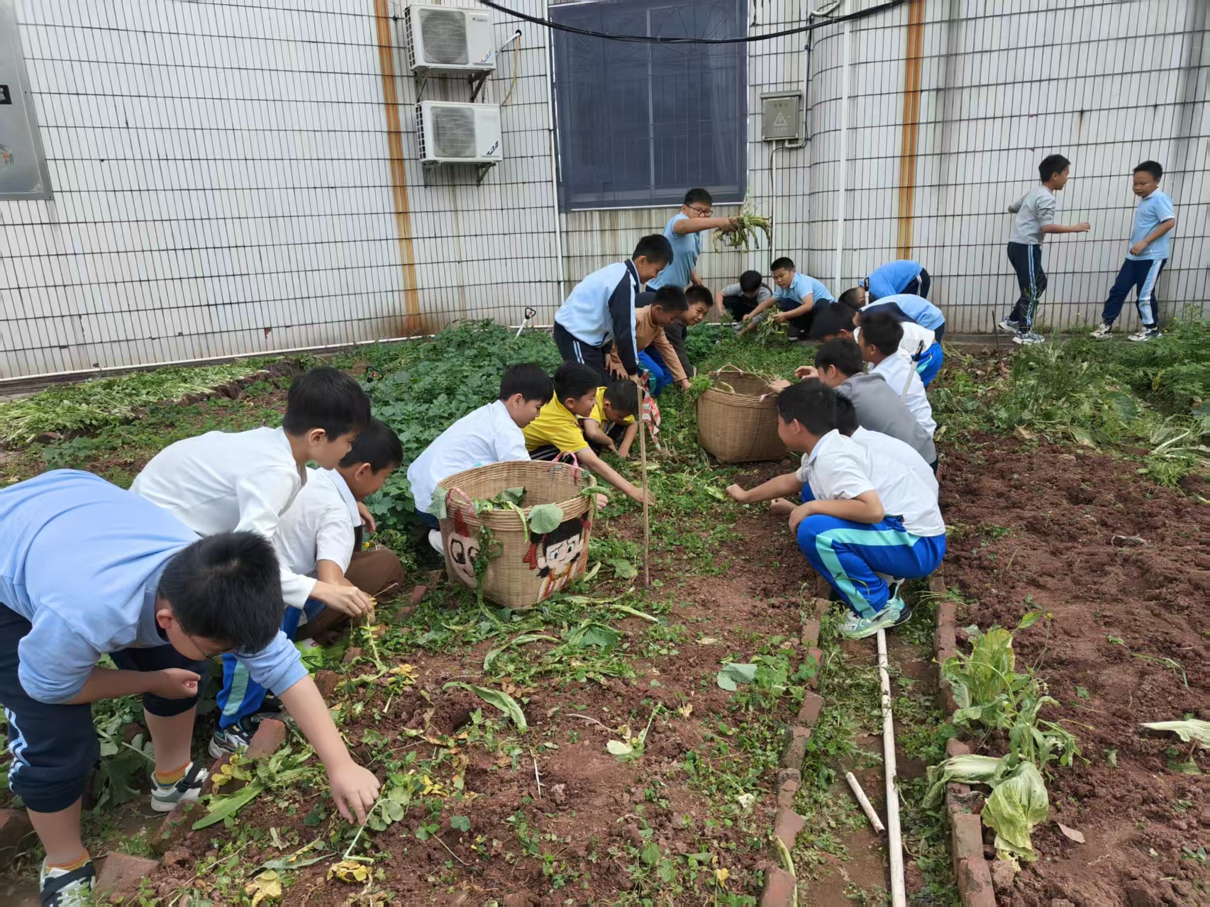 南小德育 | 植此青绿，不负春光   &mdash;&mdash;记南边小学校植树节种植活动