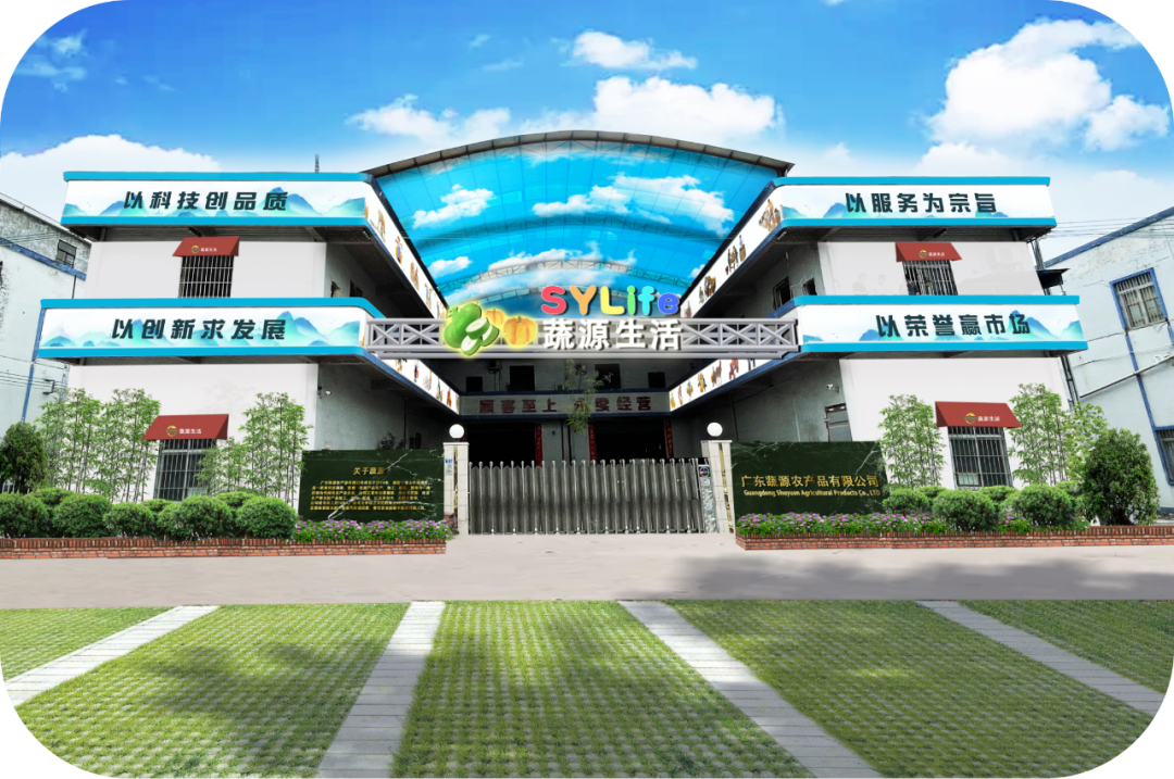 深耕绿色农产品 铸就安心供应链 | 广东蔬源农产品有限公司