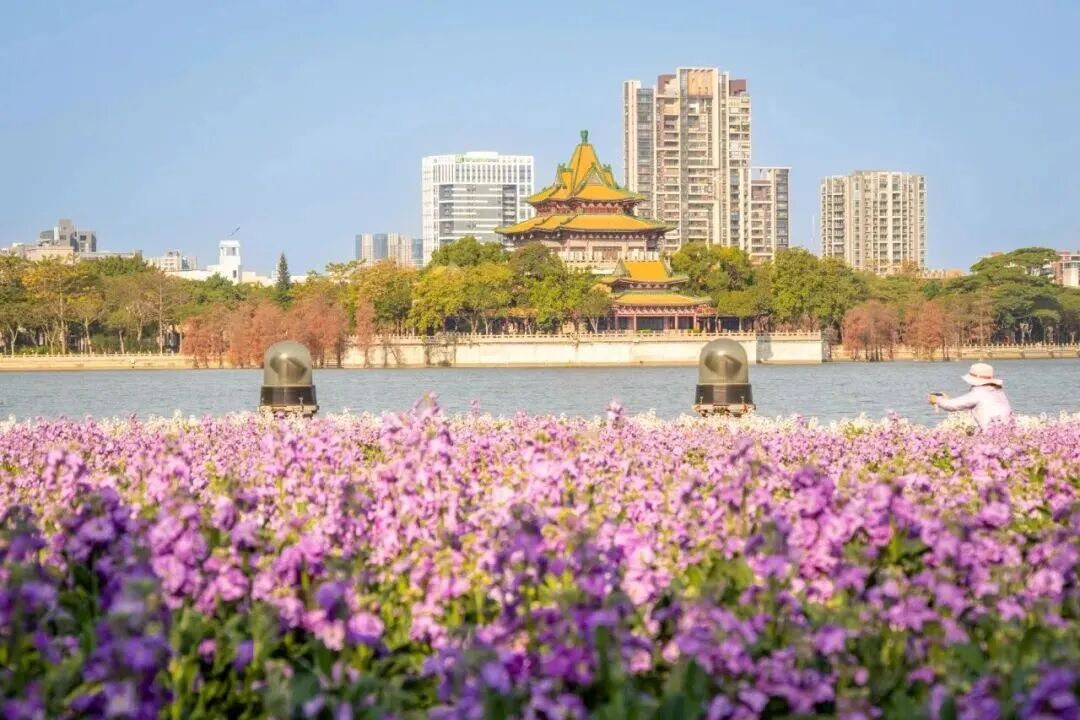 一键收藏！打卡佛山50公里徒步绝美滨水空间 l 寻乐水美佛山