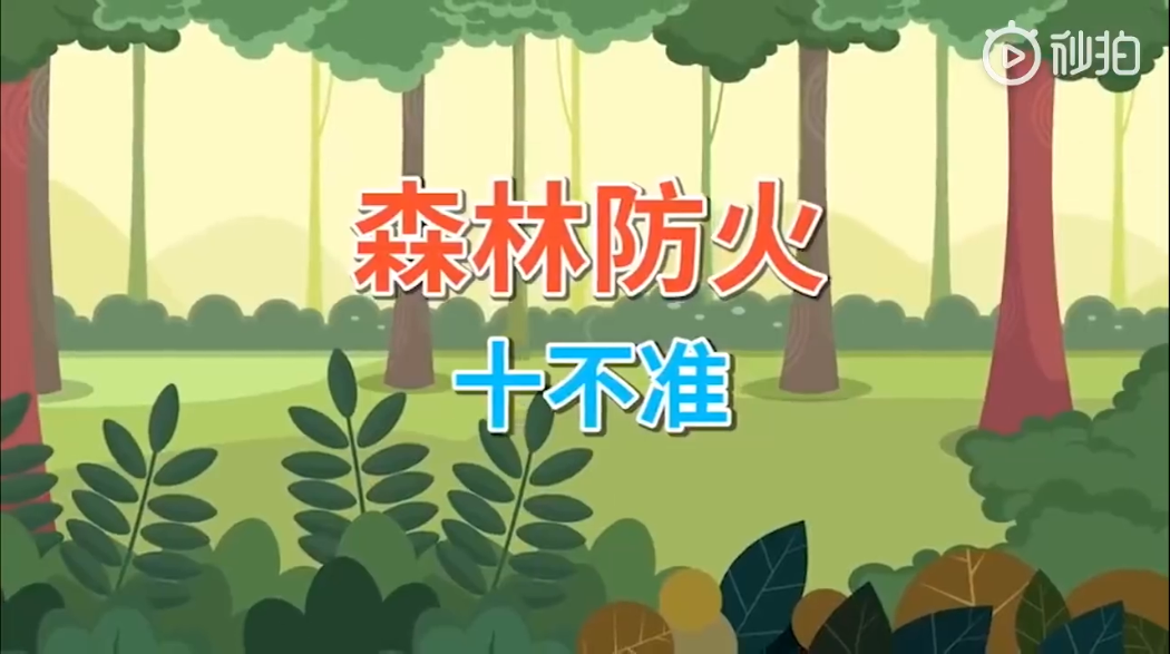森林防火十不准