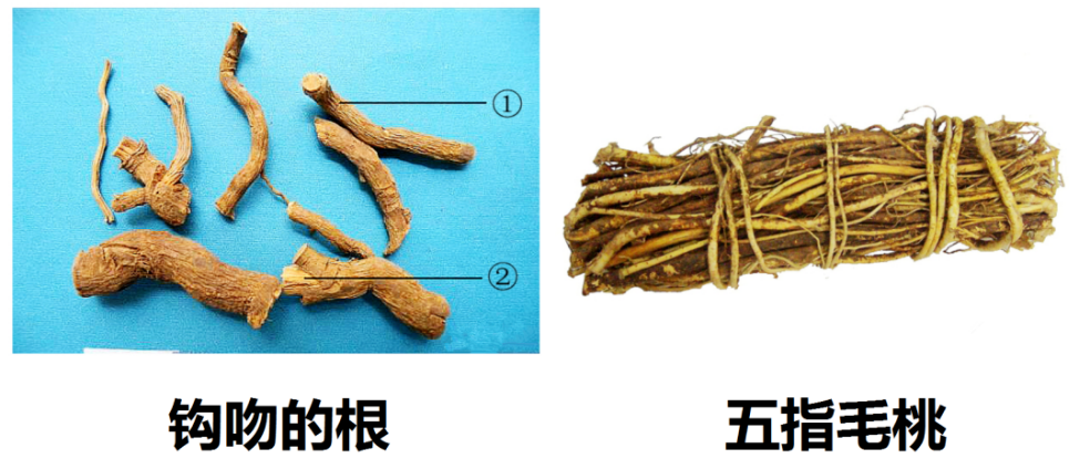 误食可致命！佛山市市场监督管理局发布提醒