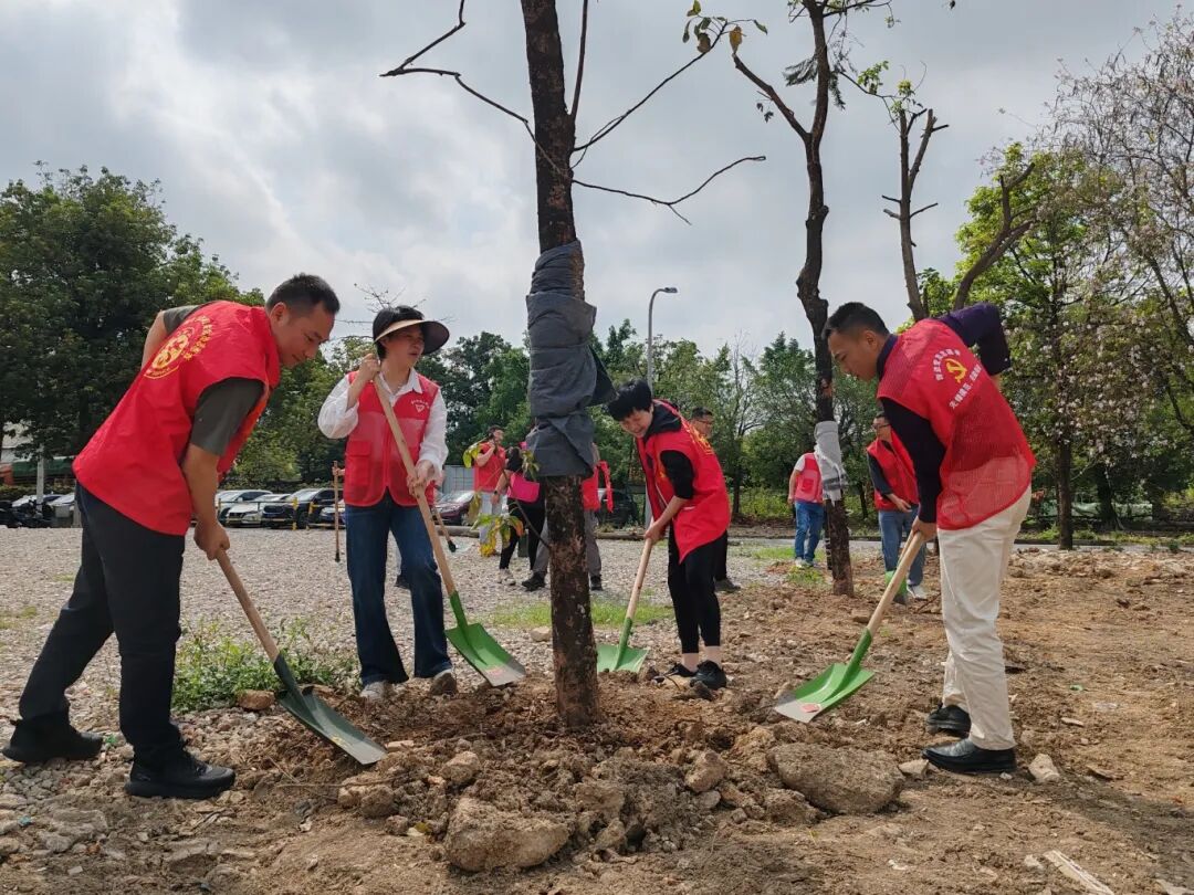 为社区添新绿！佛山市政务服务和数据管理局开展&ldquo;爱绿植绿护绿兴绿&rdquo;主题党日活动