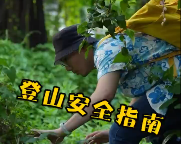 亲近自然，登高爬山，千万要记得安全第一
