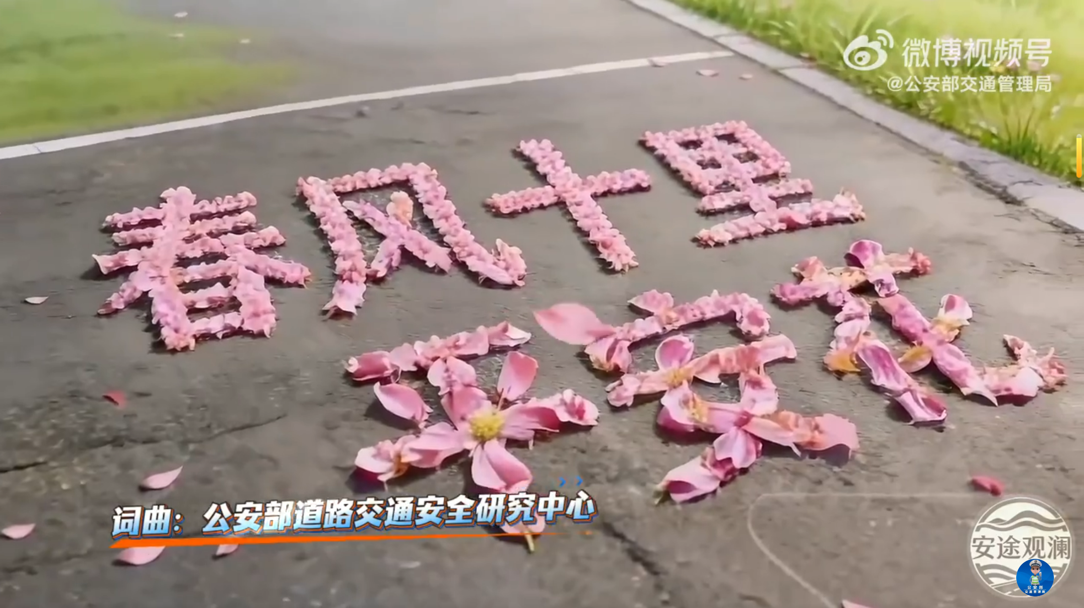 听《春风十里平安花》，一起赏花听曲、共话安全、共享平安