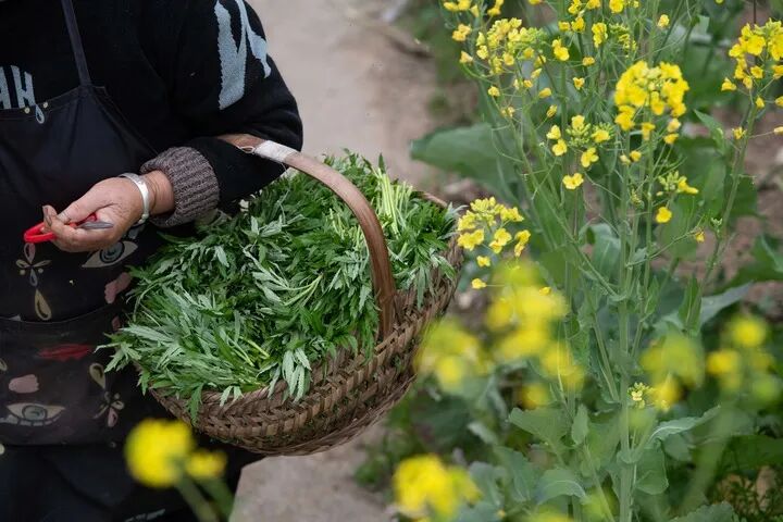 野菜中毒怎么办？记住这&ldquo;三步法&rdquo;，关键时候能救命