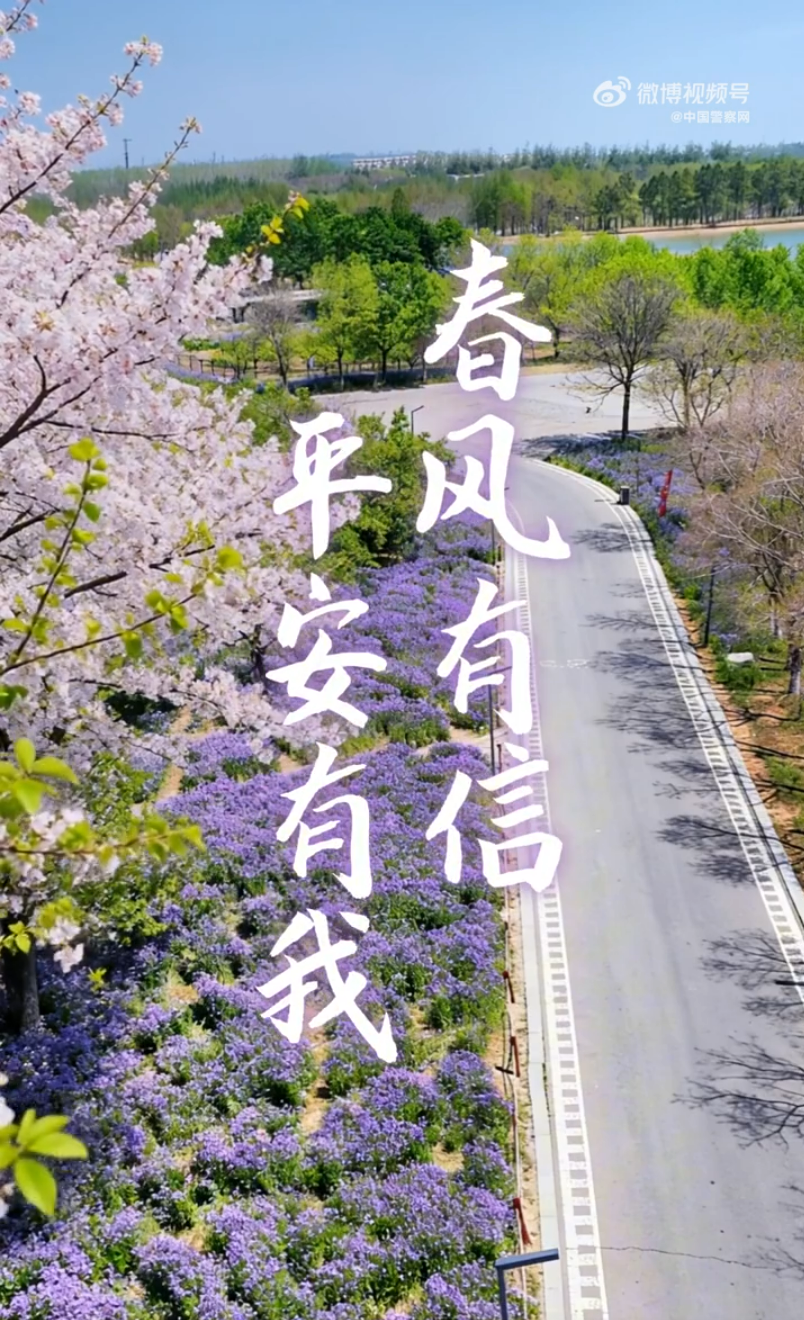 一帧一画，全是满满的安全感