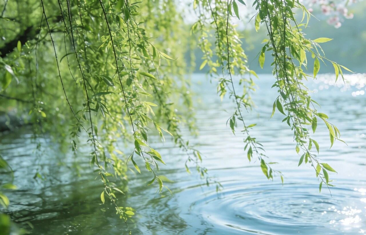 补钙&ldquo;黄金期&rdquo; 春天建议你这样吃！