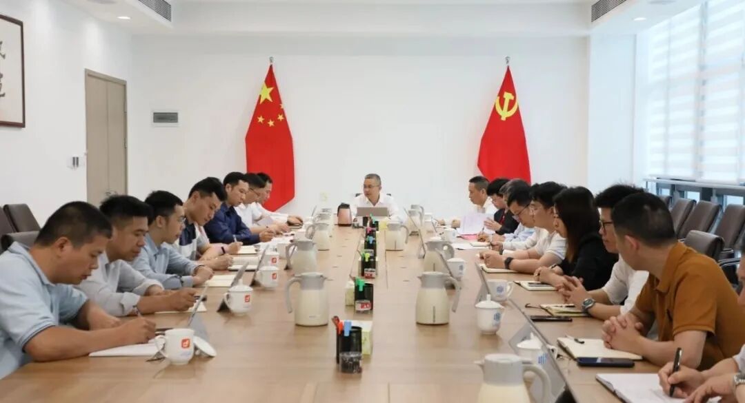 传达学习习近平总书记在全国两会上的重要讲话精神和全国两会精神，推动政务和数据领域相关工作部署落地见效