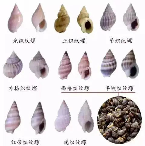 3人被抓！紧急提醒：别卖、别买、别吃！