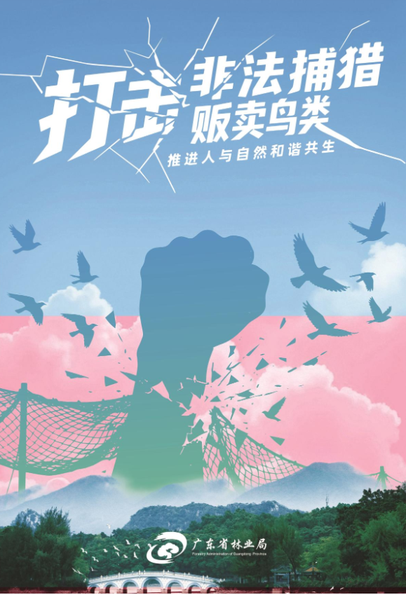 保护野生鸟类，守护生态家园