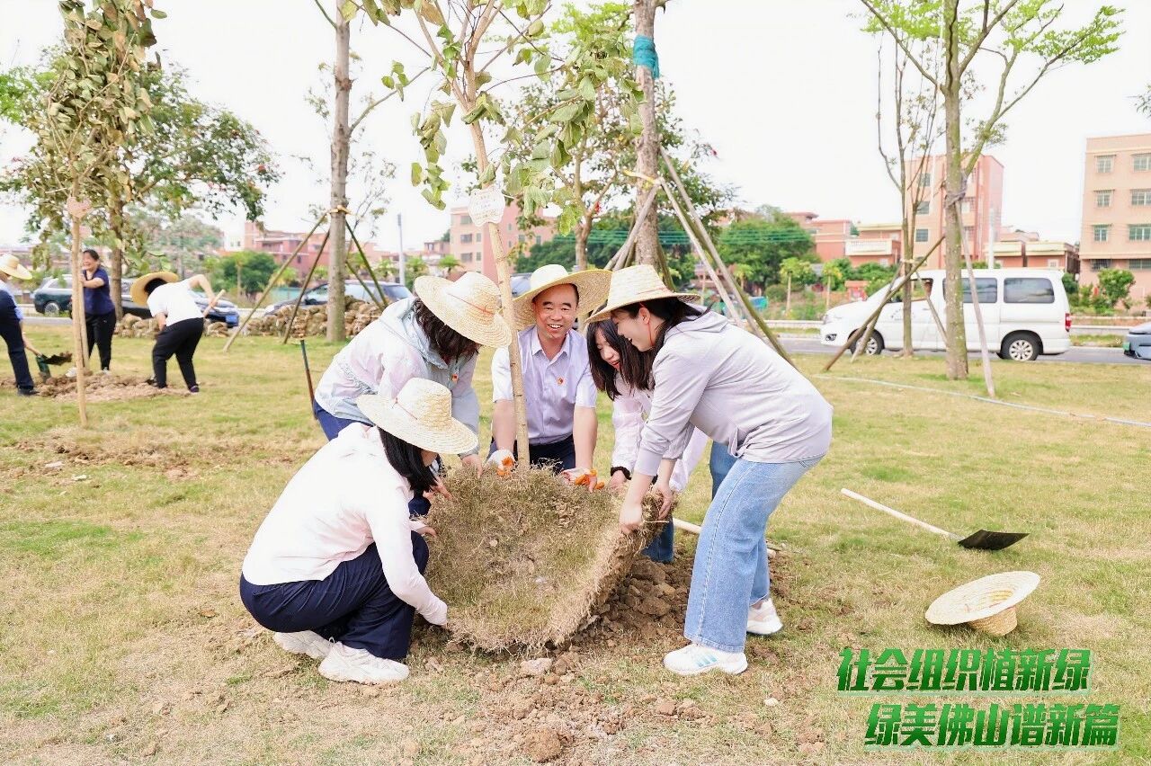 为爱充&ldquo;植&rdquo;，为环两江添绿！佛山社会组织累计植树4000多棵
