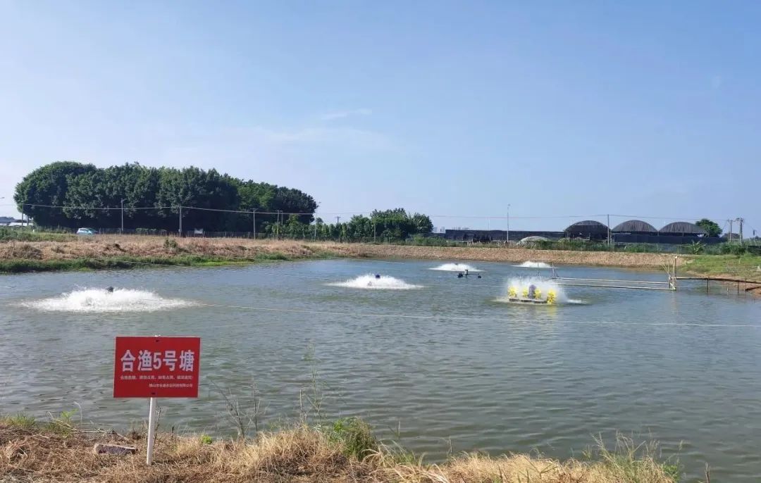 新《渔业法》5月施行！非法捕捞罚得更&ldquo;狠&rdquo;了