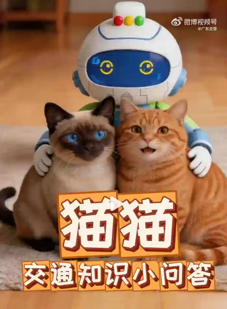 猫猫交通知识小问答
