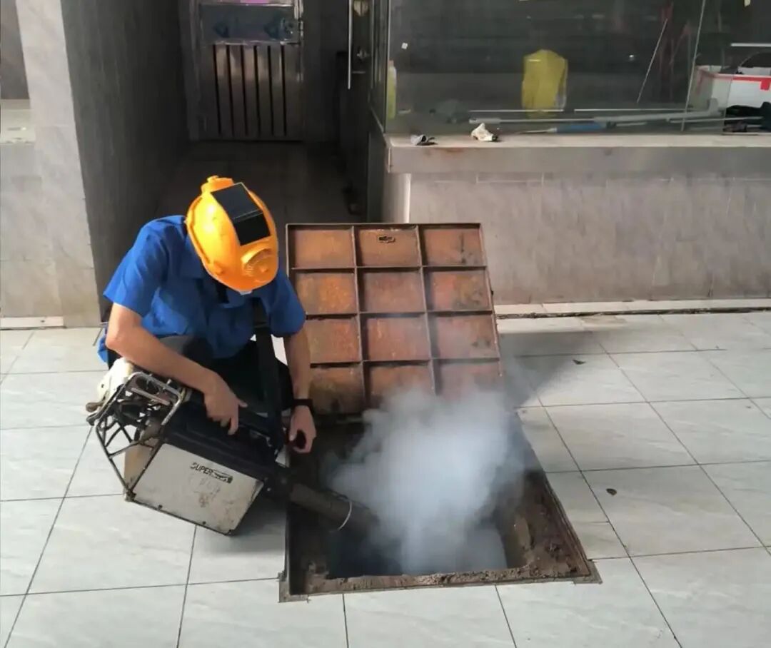 守护健康&ldquo;不打烊&rdquo;！三水市场监管全力做好蚊媒传染病防控