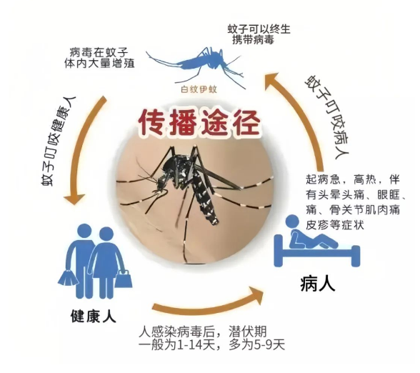 防范登革热，请你跟我这样做&rarr;