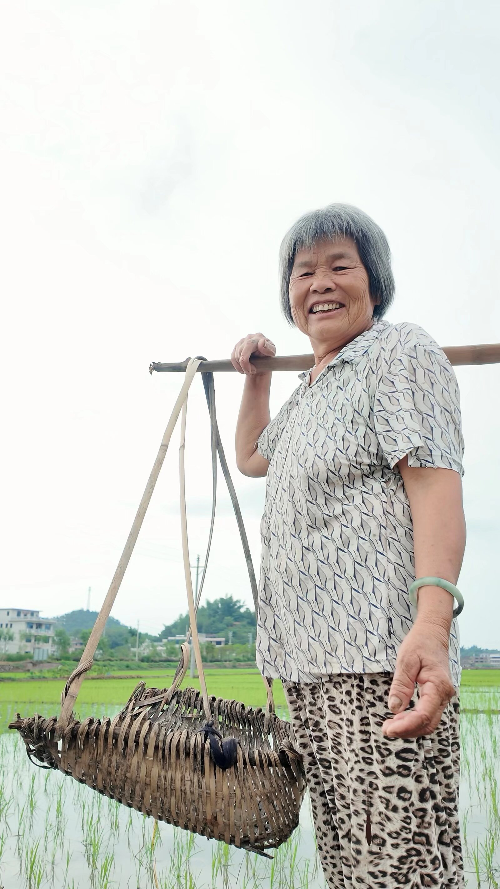 立足乡土实地调研，深耕基层实践育人