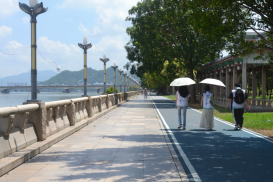 百千万工程｜法润凤城实践队：白鹭探韩江，清流鉴诚心