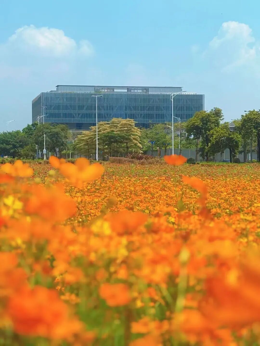 顺德，藏了个&ldquo;莫奈花园&rdquo;！