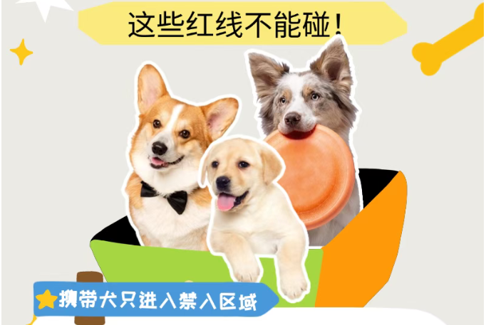 @佛山养犬人，这些红线千万别碰！