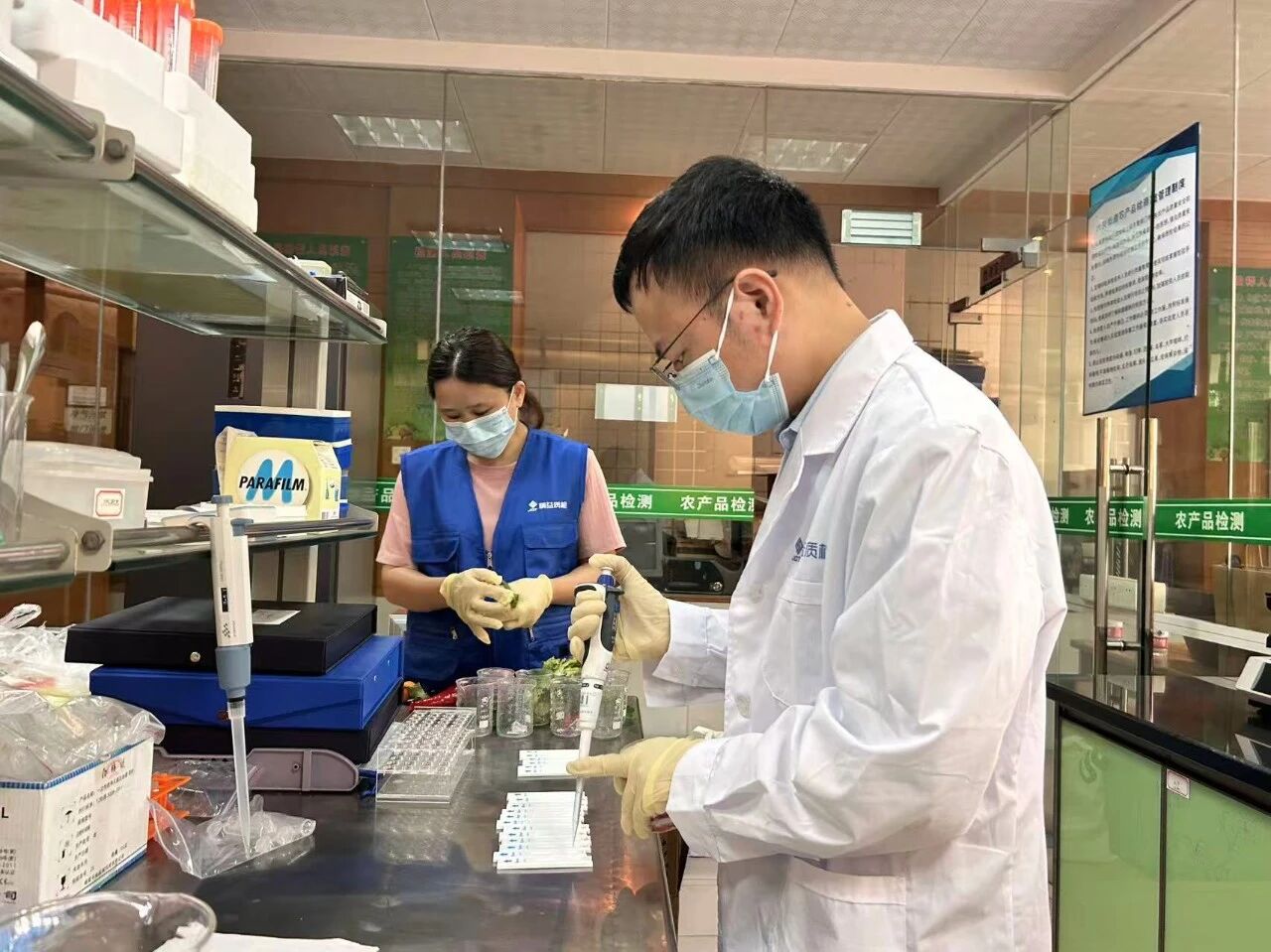 聚焦四大环节，大良成功保障超8万&ldquo;村宴&rdquo;食客&ldquo;舌尖上的安全&rdquo;！