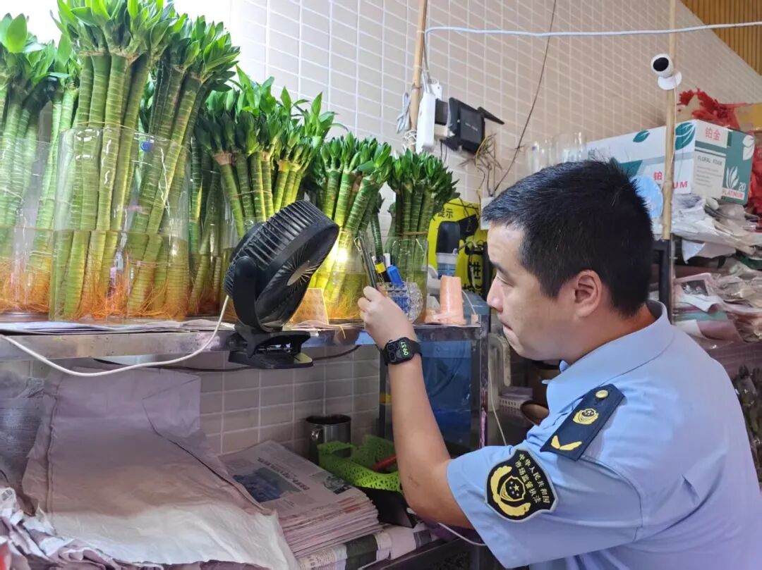 蚊媒防控拔钉，食品安全亮剑！容桂对农贸市场开展专项检查
