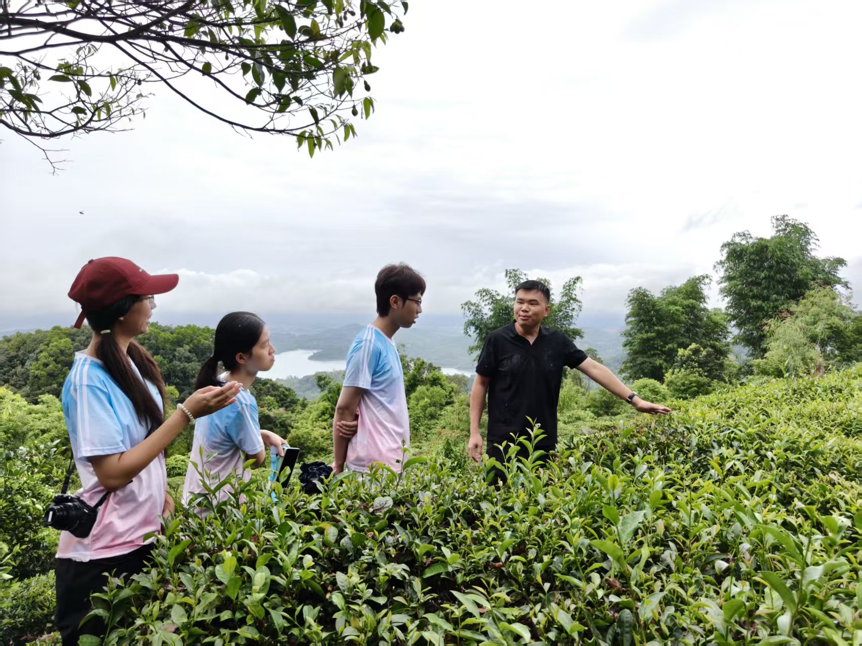 深耕乡土文脉，数字赋能农兴:佛山大学实践队赴新亨镇助力特色产业焕新