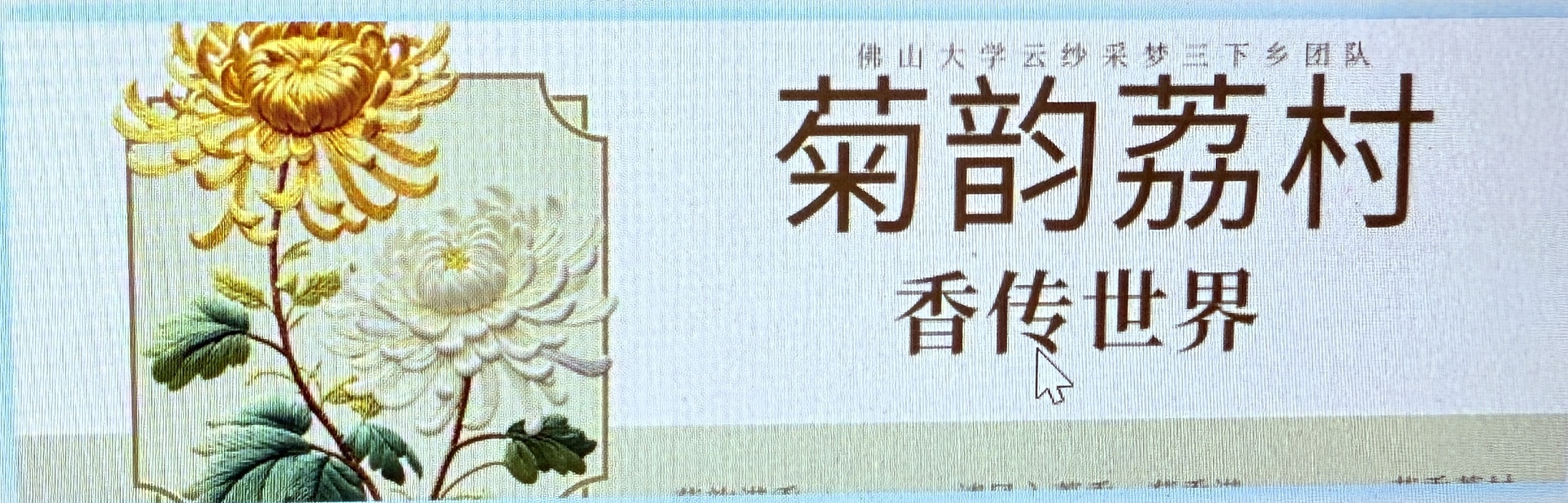 &ldquo;百千万工程&rdquo;突击队丨云纱采梦：菊韵满荔村！佛大青年助力顺德乡村振兴