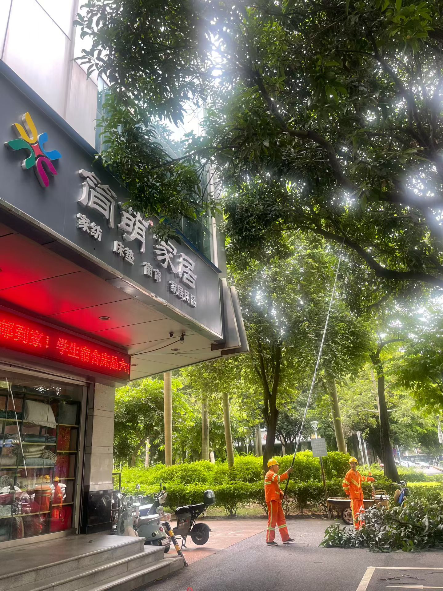 我为群众办实事 | 树枝&ldquo;碰&rdquo;上灯箱，禅城城管火速处置获点赞