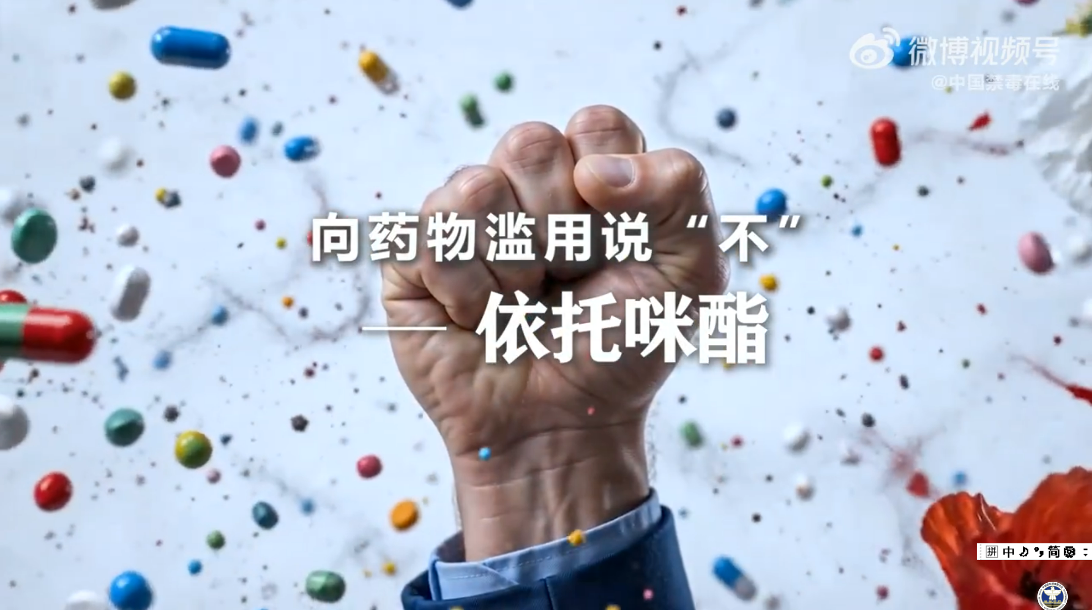 《向药物滥用说&ldquo;不&rdquo;》&mdash;&mdash;依托咪酯