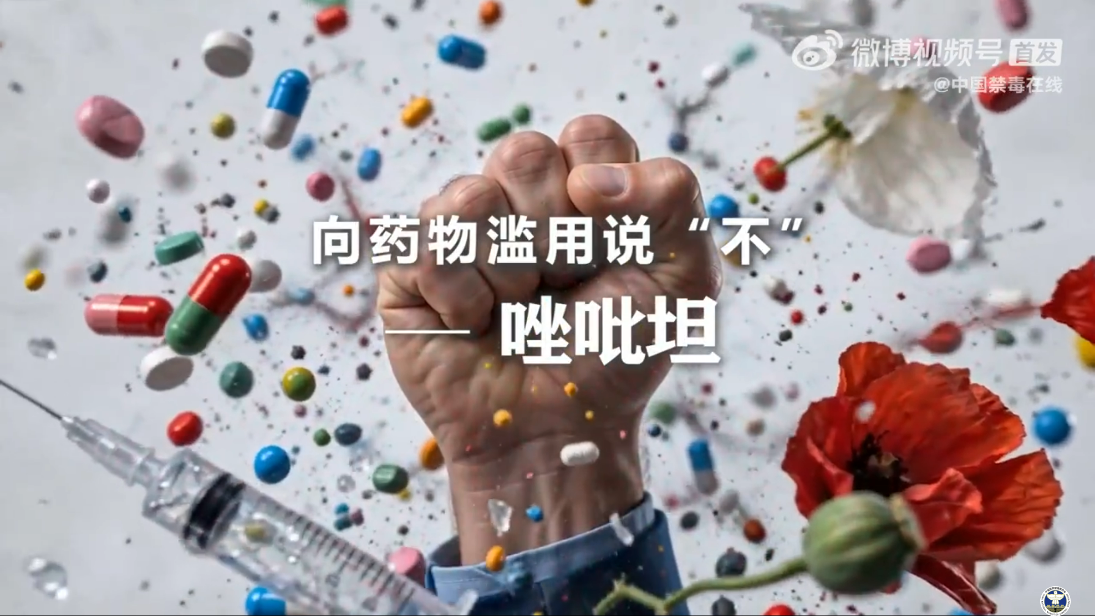 《向药物滥用说&ldquo;不&rdquo;》&mdash;&mdash;唑吡坦