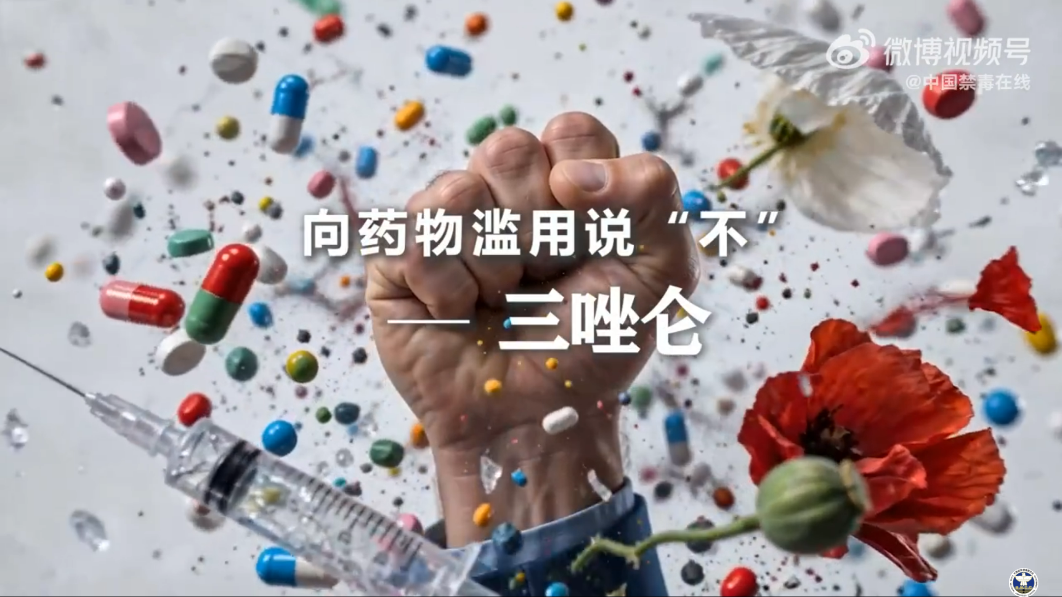 《向药物滥用说&ldquo;不&rdquo;》&mdash;&mdash;三唑仑