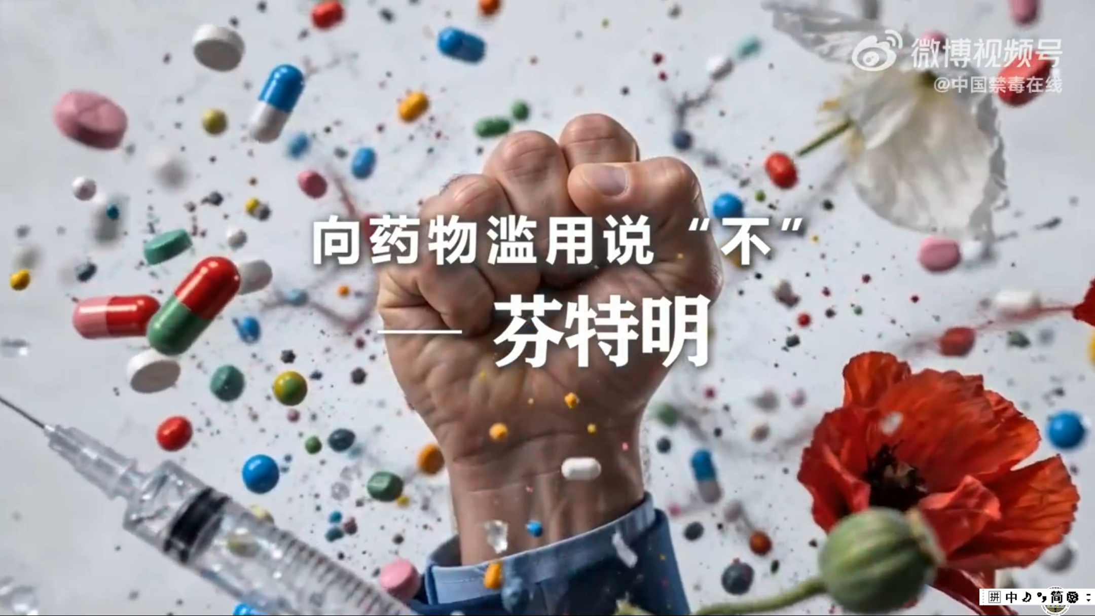 《向药物滥用说&ldquo;不&rdquo;》&mdash;&mdash;芬特明
