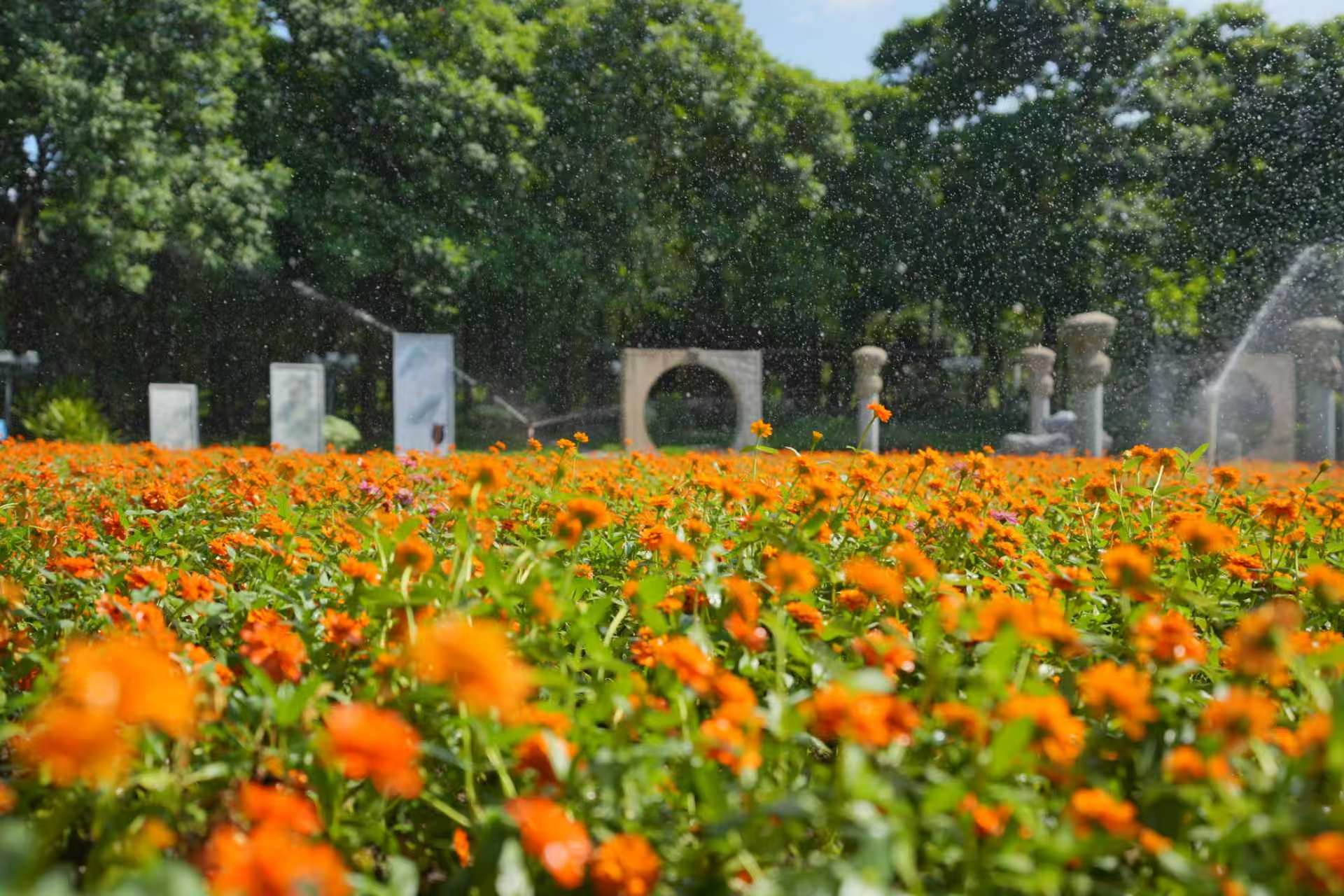 开启&ldquo;花漾&rdquo;假期攻略：逛新晋顶流商场，赴花海之约