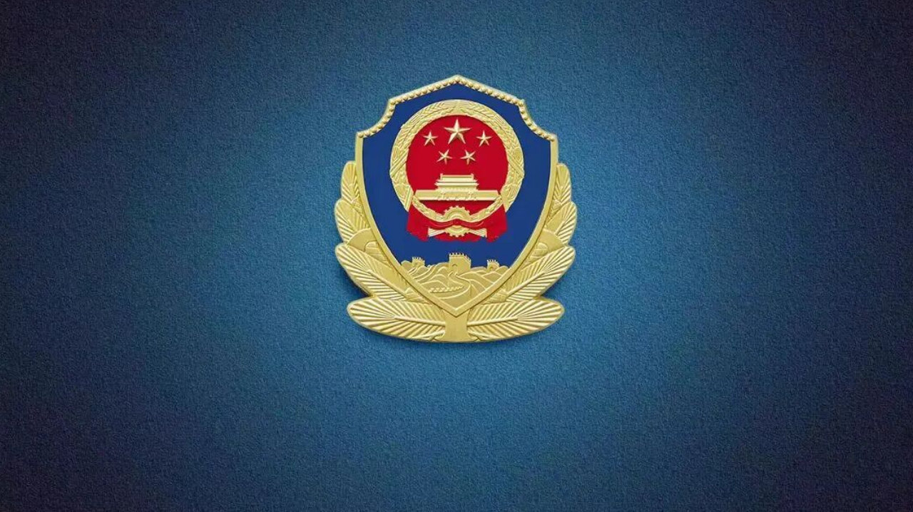 习近平总书记重要指示为建设更高水平平安中国凝聚力量