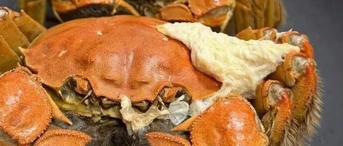 蒸螃蟹时，像鸡蛋白一样的固体是什么？能吃吗？