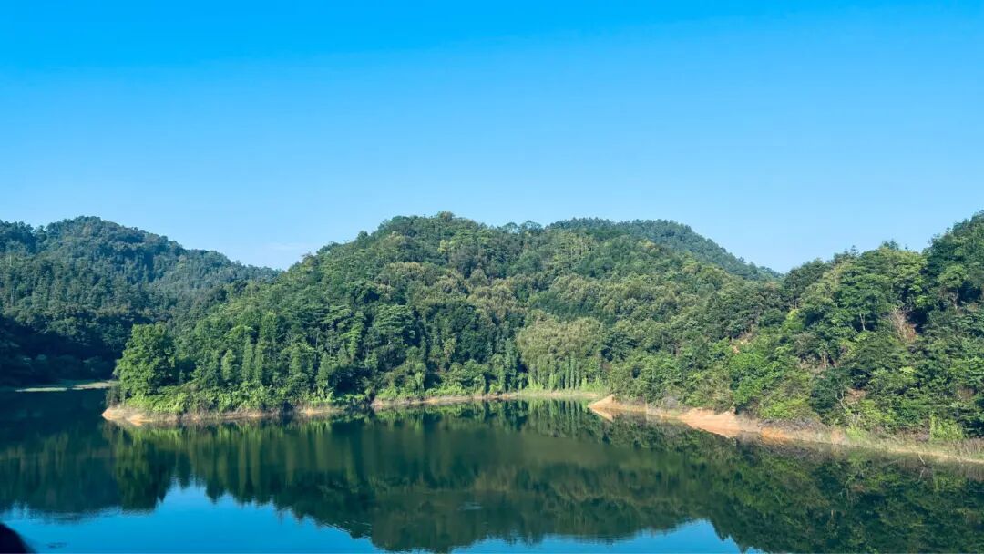 绿美佛山生态建设连续两年获评省级考核优秀等次