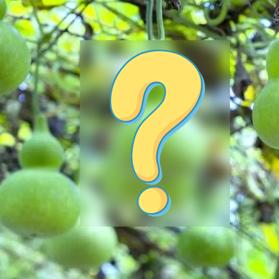 你是最后一个知道的吗？这种&ldquo;葫芦&rdquo;不能吃&rarr;