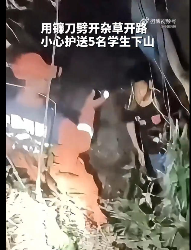 5名初中生结伴闯野山迷路被困