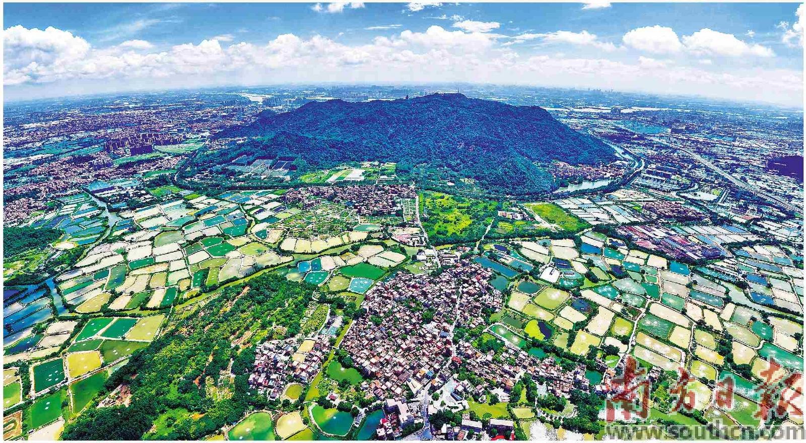 南海构建镇村连片新格局