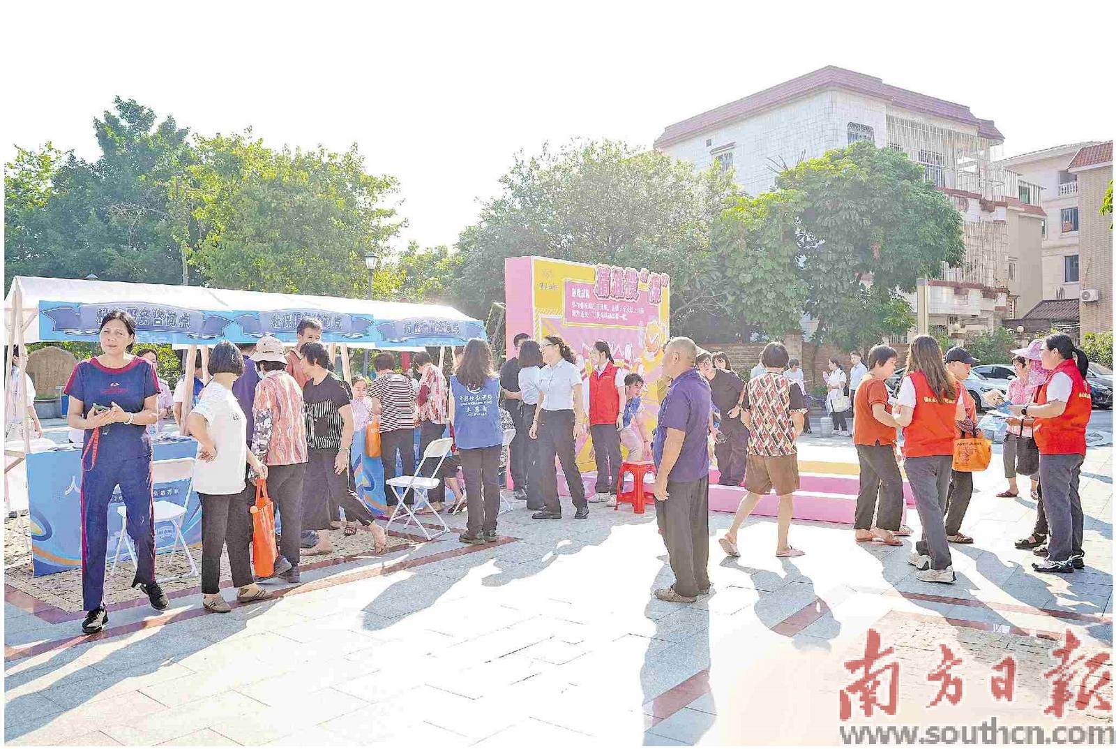 服务进万家 &ldquo;社保之树&rdquo;根深叶茂