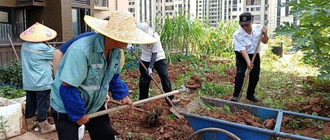 解开平台种菜&ldquo;邻里结&rdquo;，避免&ldquo;小矛盾&rdquo;拖成&ldquo;大问题&rdquo;丨综治中心规范化建设㉟