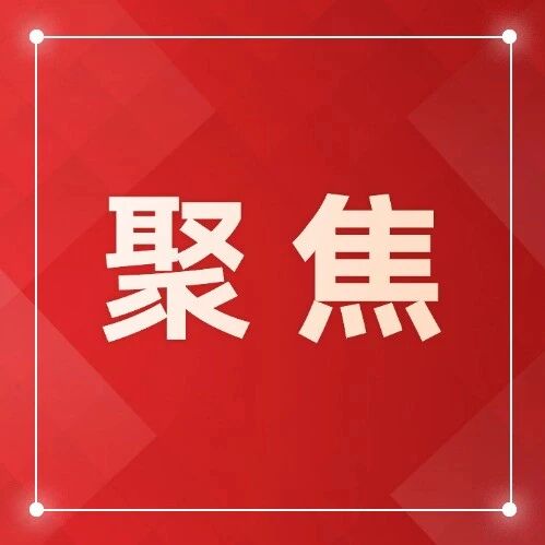 数字佛山&ldquo;十五五&rdquo;开局之年的战略思考与实践路径