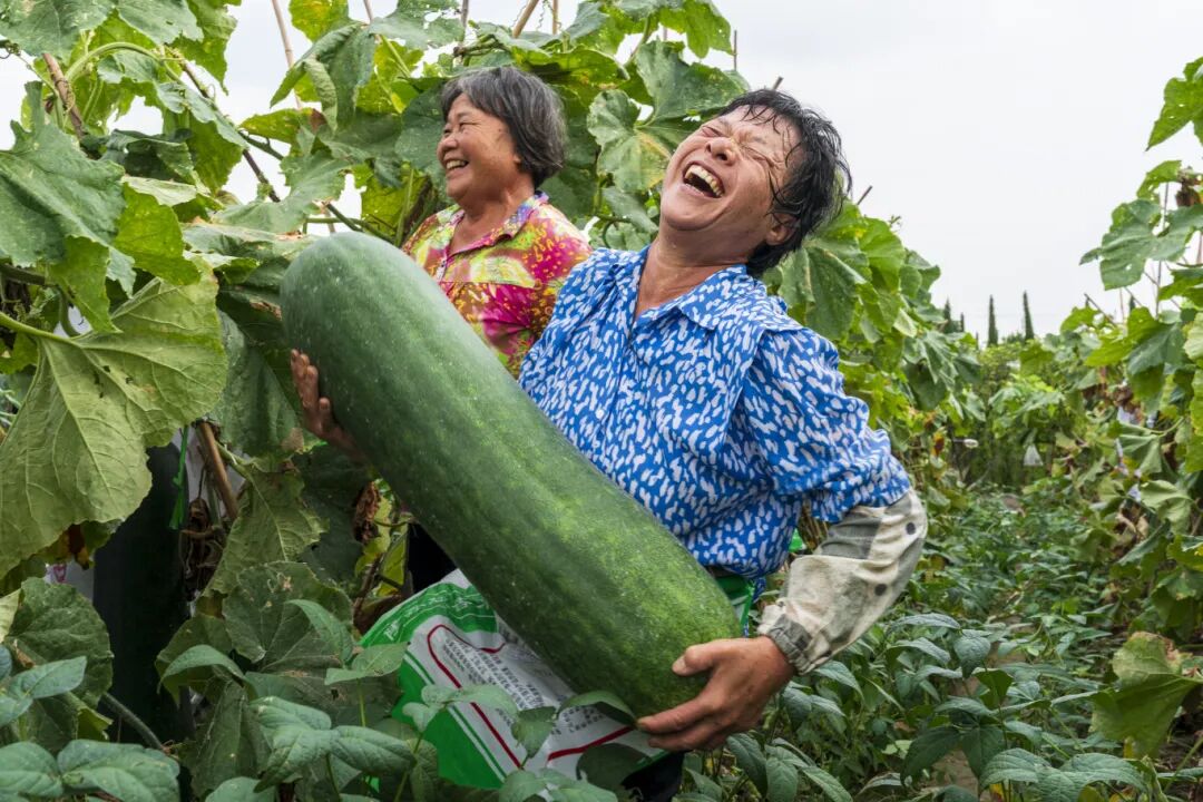 【如登刊请标注作者信息】《好大一个瓜》-龚福生.jpg