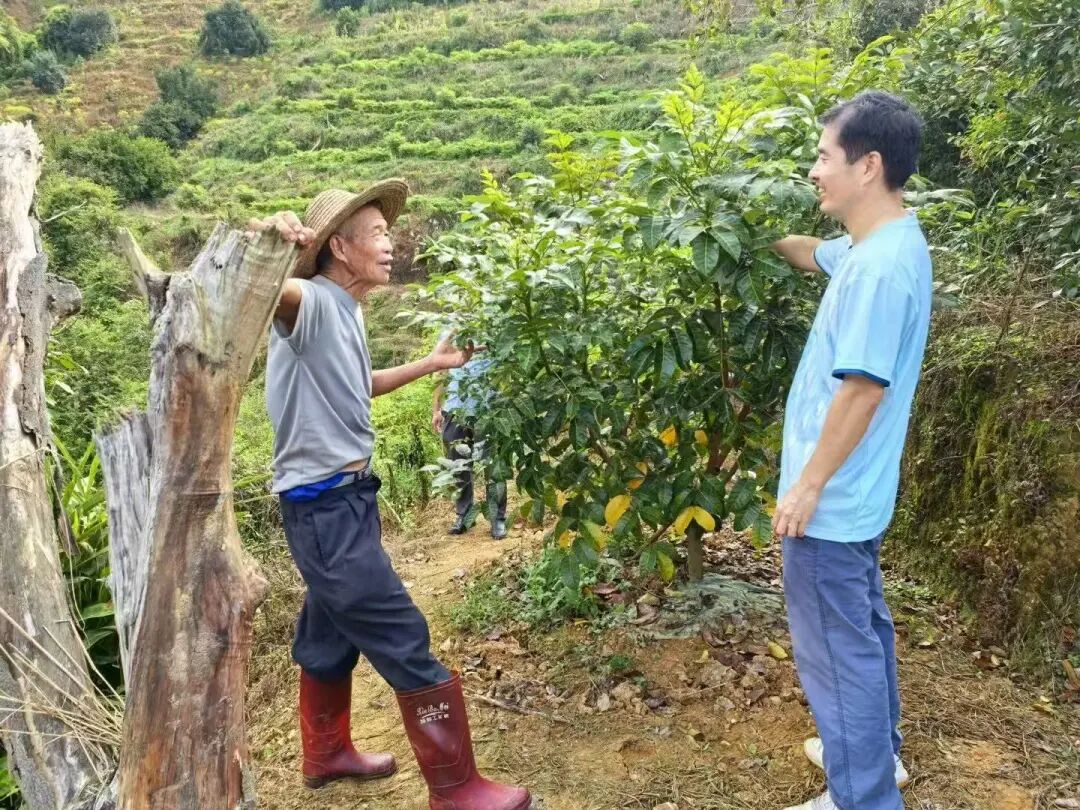 山间走访.jpg