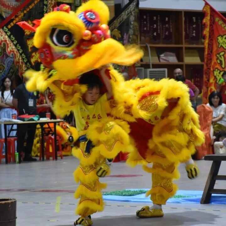 两赛鏖战，狮舞荣光！北区少年醒狮队的这个暑假，燃爆了！